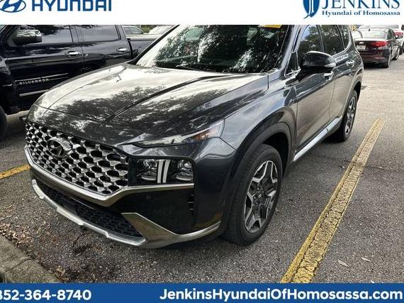 HYUNDAI SANTA FE 2021 5NMS44AL6MH317803 image